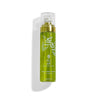 Purifying Toner | Pili Ani