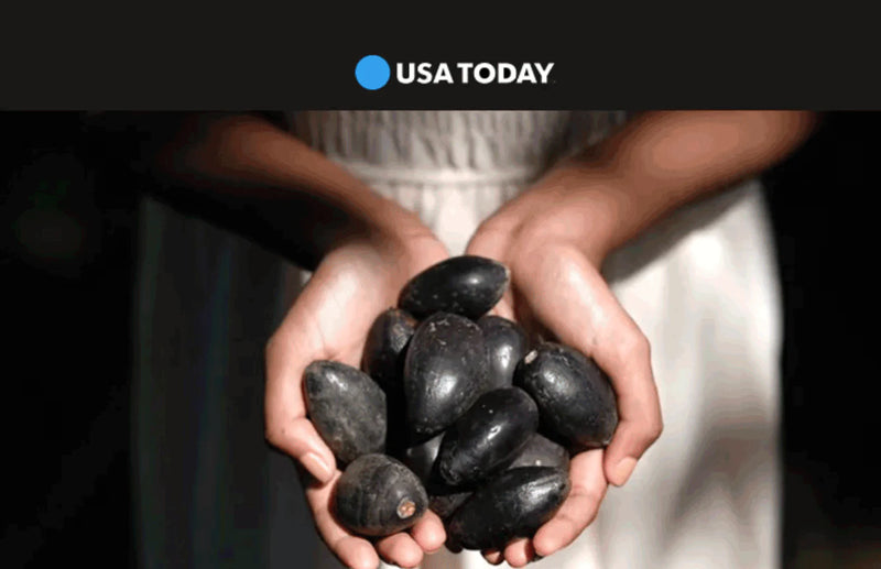 Meet Pili Ani, The Dynamic Filipino Family-Owned Natural Skincare Business (USA Today)